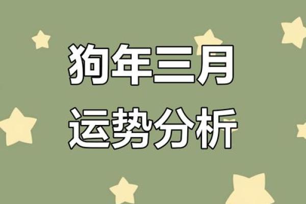 2025年的狗全年运势如何 2025年狗年运势详解全年运程大揭秘 2025年的狗全年运势如何 2025年狗年运势详解全年运程大揭秘