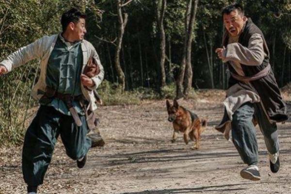 女人梦见狗追咬是什么预兆