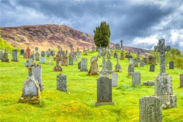 梦见喂猪是什么预兆 女性 梦见喂猪是什么预兆 女性