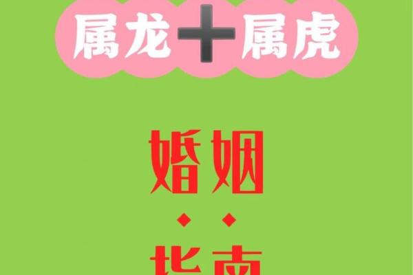 属龙的明年虎年可以结婚吗 属龙的明年虎年可以结婚吗