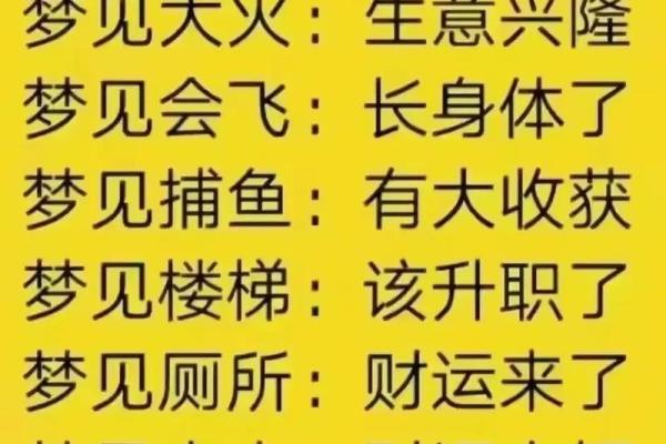 梦到很多蛇是什么征兆 男性 梦到很多蛇是什么征兆 男性