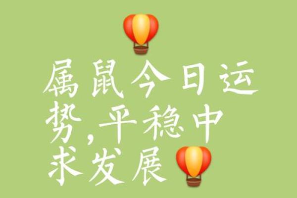 2025年属鼠人全年运势 2025年属鼠人全年运势