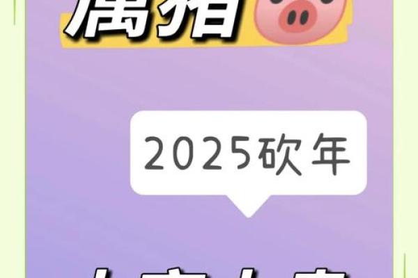 2025年属猪人年龄揭秘你几岁了