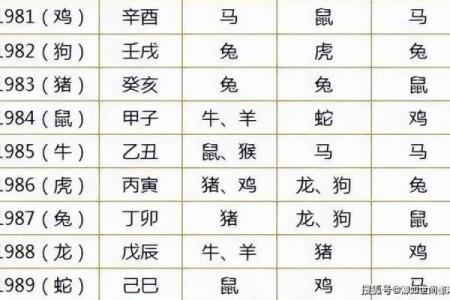 2006年1月出生属鸡还是属狗生肖划分详解