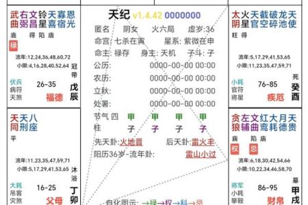 2025年4月16日寅时男命紫微斗数全解盘