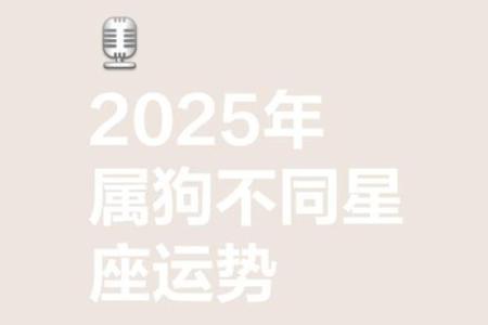 2025年属狗犯太岁吗运势解析与化解方法