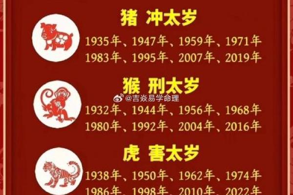 2025年属马犯太岁吗 2025年属马犯太岁吗运势解析与化解指南 2025年属马犯太岁吗 2025年属马犯太岁吗运势解析与化解指南