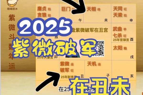 2025年4月13日丑时男命紫微斗数全解盘 2025年4月13日丑时男命紫微斗数全解盘