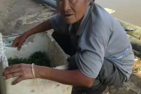 男人梦见舅舅是预兆什么