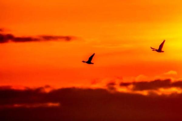 阳光照耀大地暖是什么生肖(阳光 照耀大地) 阳光照耀大地暖是什么生肖(阳光 照耀大地)