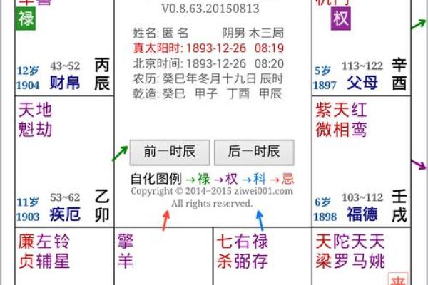 2025年4月5日子时男命紫微斗数全解盘 2025年4月5日子时男命紫微斗数全解盘