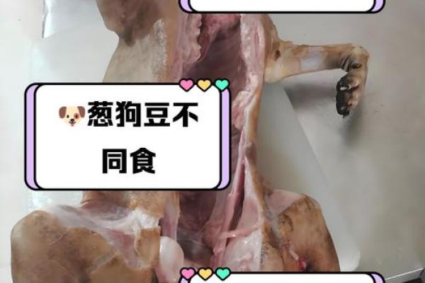 梦见吃狗肉是什么预兆周公解梦 梦见吃狗肉是什么预兆周公解梦