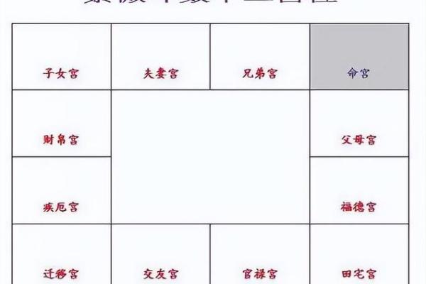 2025年4月8日子时女命紫微斗数全解盘 2025年4月8日子时女命紫微斗数全解盘