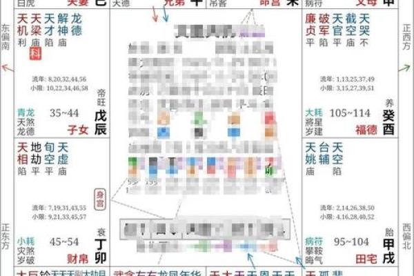 2025年4月19日酉时男命紫微斗数全解盘 2025年4月19日酉时男命紫微斗数全解盘
