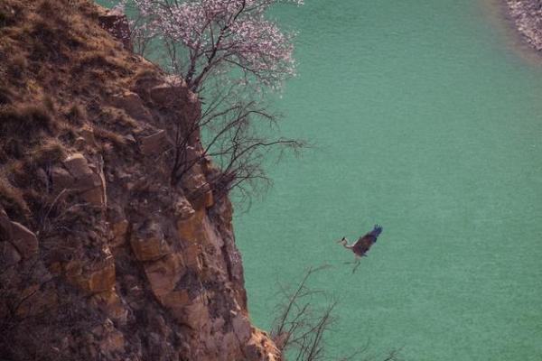江水如蓝一片绿是什么生肖(江水绿如蓝的前一句) 江水如蓝一片绿是什么生肖(江水绿如蓝的前一句)