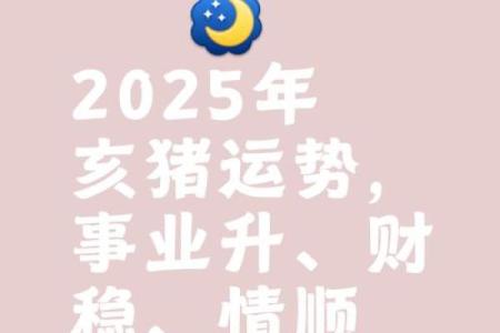 2025年属猪女性全年运势详解事业财运爱情全解析