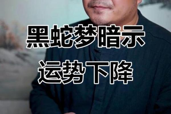 梦见黑蛇的都生了儿子吗 梦见黑蛇的都生了儿子吗