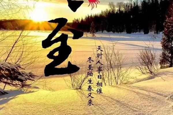 冬至图片大全