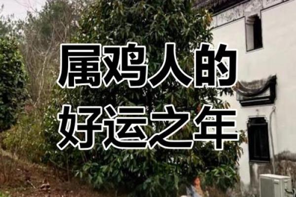 属鸡人2025年蛇年全年运势_属鸡之人2025年运势及运程 属鸡人2025年蛇年全年运势_属鸡之人2025年运势及运程