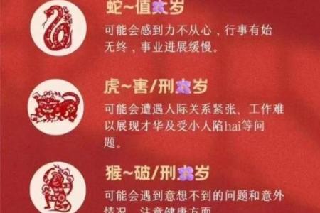 猪肖2025年运程 猪2025年运势