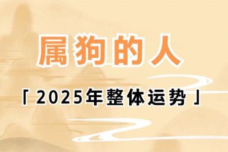 属狗今年2025运气如何_属狗今年2025运气如何呢