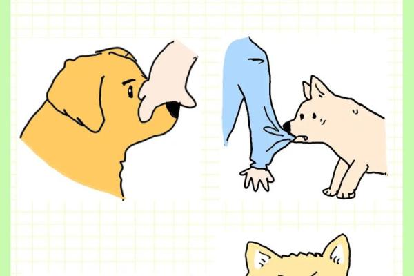 梦见狗咬脚是什么意思 梦见狗咬脚是什么意思