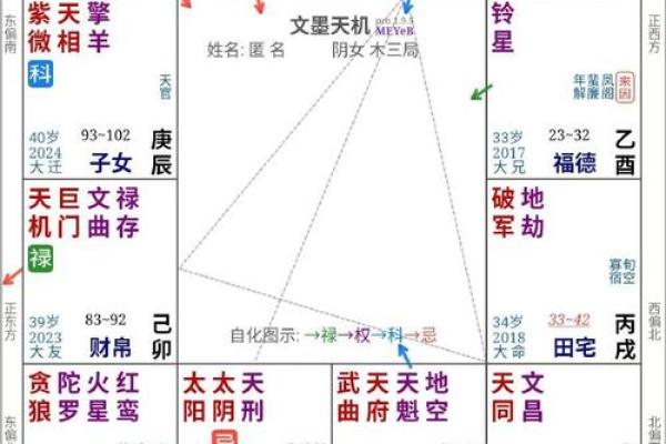 2025年4月1日亥时男命紫微斗数全解盘 2025年4月1日亥时男命紫微斗数全解盘