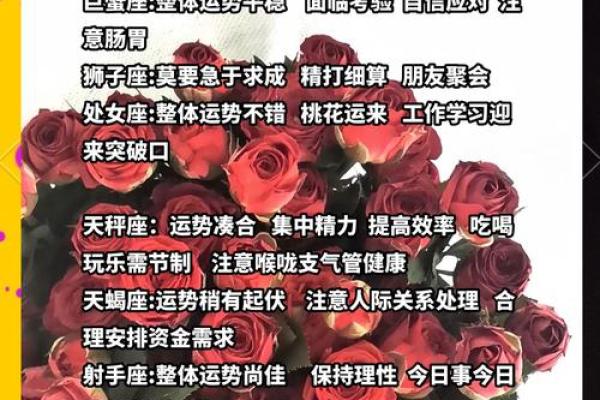 十二星座下周运势解析事业爱情双丰收指南 十二星座下周运势解析事业爱情双丰收指南