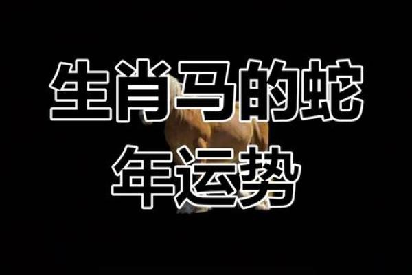 90属马女2025年有喜事 90年属马女2025运势揭秘三大喜事降临必看 90属马女2025年有喜事 90年属马女2025运势揭秘三大喜事降临必看