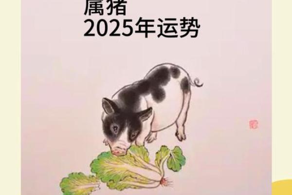 属猪今年运势2025年运势如何_2025年属猪人运势详解财运事业感情全解析