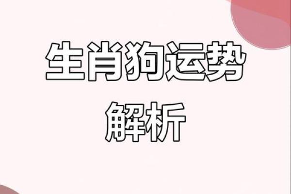 1970年属狗每月运势详解全年运程大揭秘