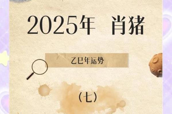 属猪今年多大了 2023年属猪人年龄查询今年属猪的多大了