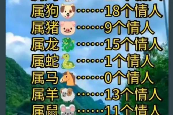 属羊与属猪婚配好吗解析生肖配对幸福指数