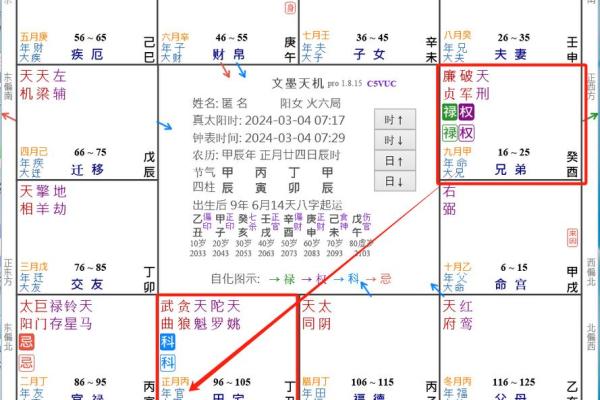 2025年4月9日卯时男命紫微斗数全解盘