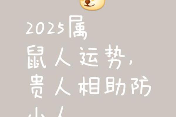 今天鼠人运势 今天鼠人运势