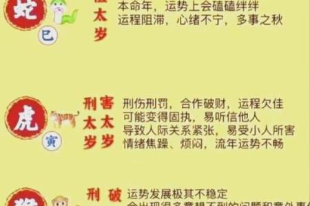 2025属猪太岁_2025属猪太岁运势解析如何化解太岁影响