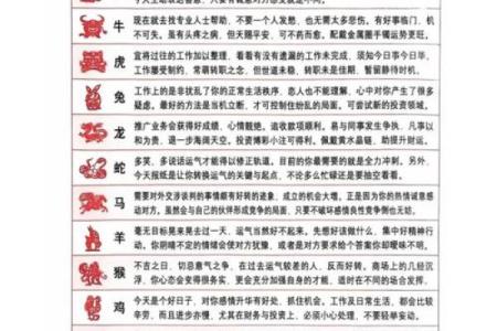 属马2025年运程 属马2025年运程怎么样