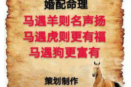 1978年属马女的是什么命运 1978年属马女的是什么命运呢