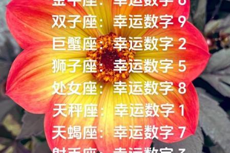 白羊座的幸运颜色和数字