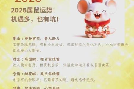 1972年的鼠女在2025年的运势