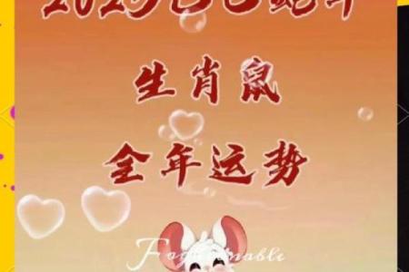 84属鼠人未来十年运势