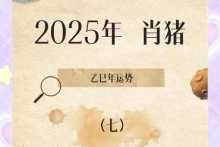 属猪今年多大了 2023年属猪人年龄查询今年属猪的多大了
