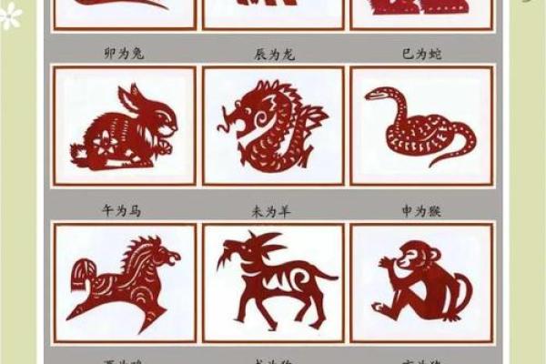 属虎的2023年结婚(2023属虎感情) 属虎的2023年结婚(2023属虎感情)