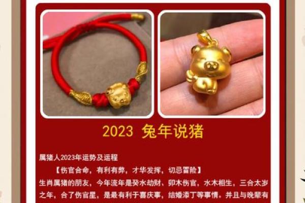 2025年属猪的穿红色好不好_2025年属猪穿红色运势解析吉凶如何