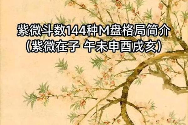 2025年4月9日午时女命紫微斗数全解盘 2025年4月9日午时女命紫微斗数全解盘