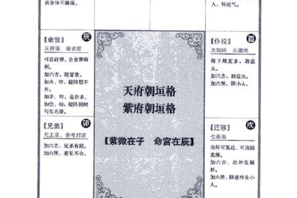 2025年4月21日子时女命紫微斗数全解盘