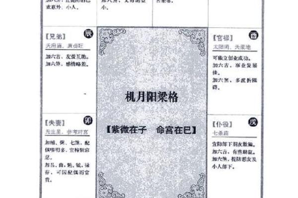 2025年4月6日酉时男命紫微斗数全解盘 2025年4月6日酉时男命紫微斗数全解盘
