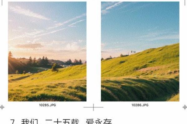 2021年四月25日结婚(4月25日结婚日子好吗) 2021年四月25日结婚(4月25日结婚日子好吗)