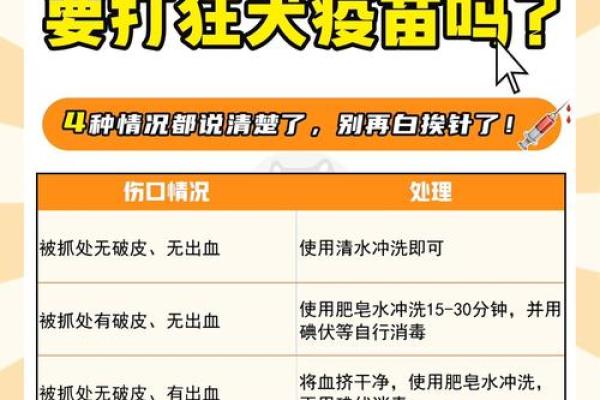 梦见被猫抓咬什么预兆 梦见被猫抓咬什么预兆