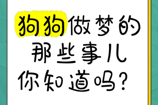 梦到很多狗 梦到很多狗
